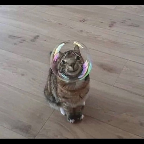 Meet your Posher, Idelle - Picture 1 of 1